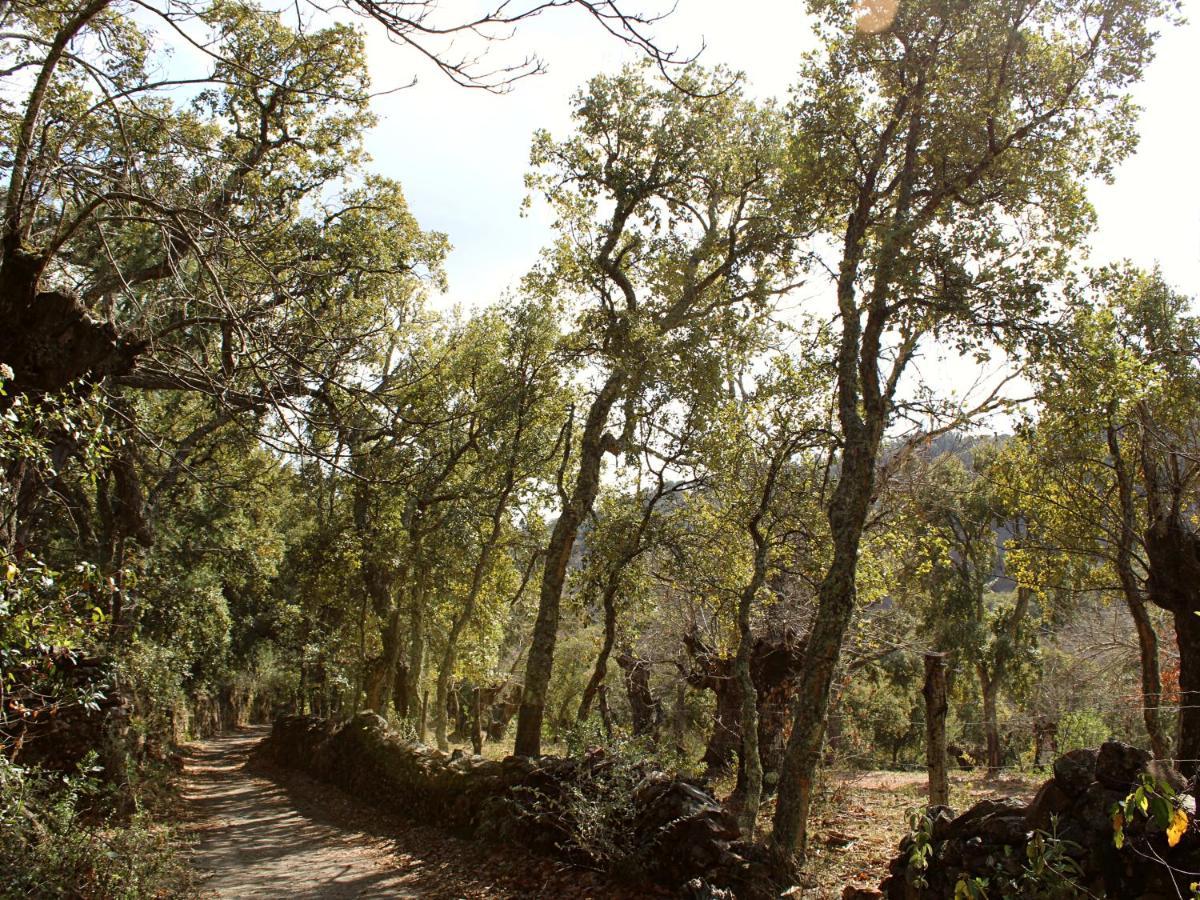 Cortelazor El Rincon De Marcelino旅馆 外观 照片
